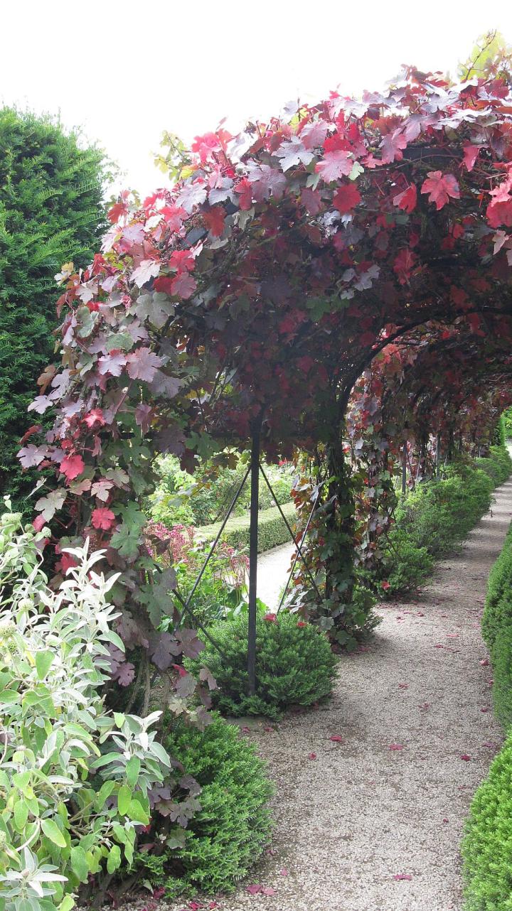 Losely Park U.K. juli 2011