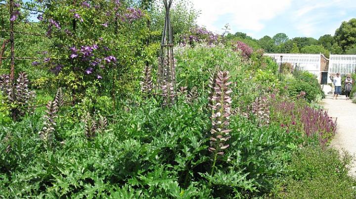 West Dean U.K. juli 2011