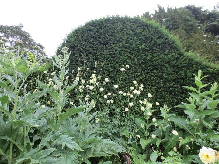 Hampton Court U.K. juli 2013