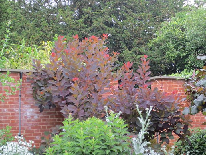 Hampton Court U.K. juli 2013