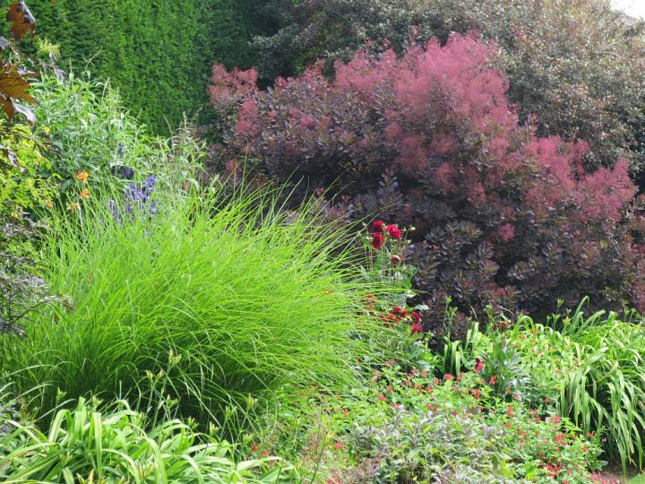 Hidcote Manor U.K. juli 2013