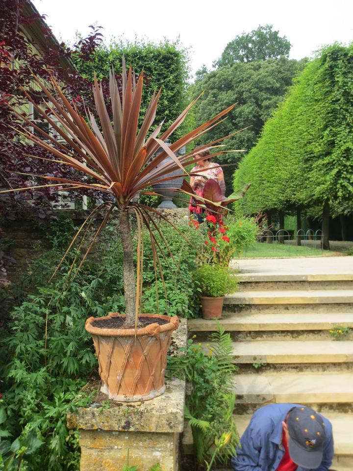 Hidcote Manor U.K. juli 2013