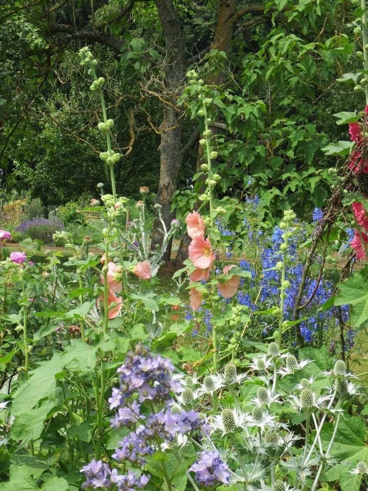 Hidcote Manor U.K. juli 2013