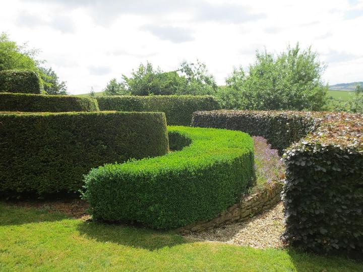 Special Plants U.K. juli 2013