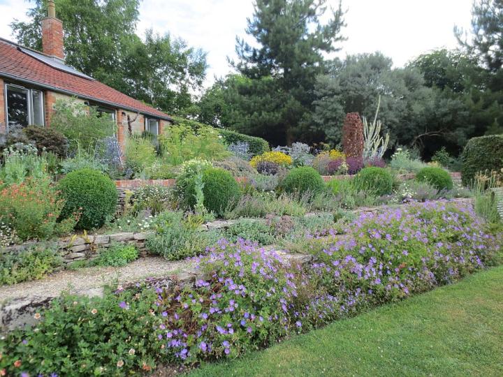 Special Plants U.K. juli 2013