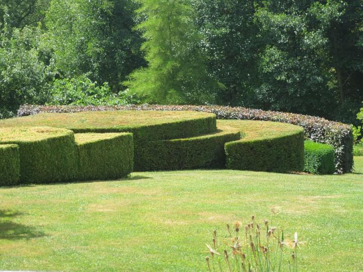 Special Plants U.K. juli 2013