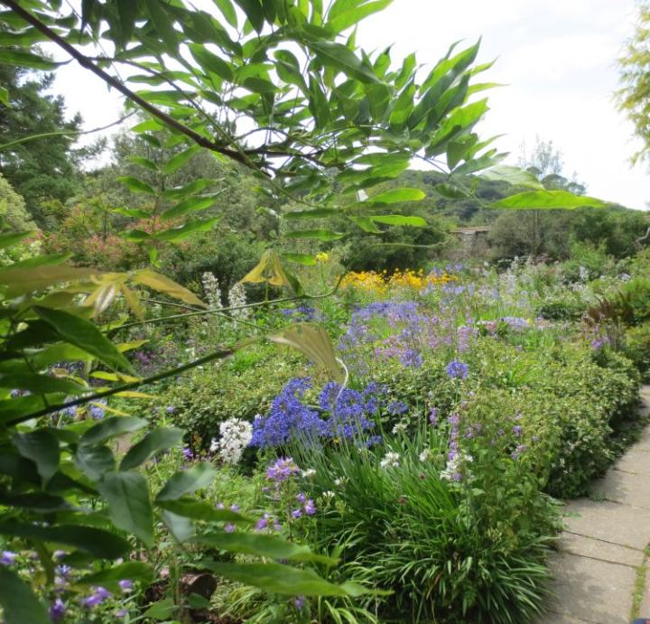 Marwood U.K. juli 2014