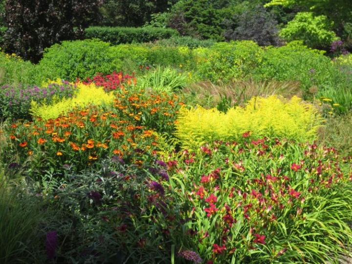 Rosemoor U.K. juli 2014