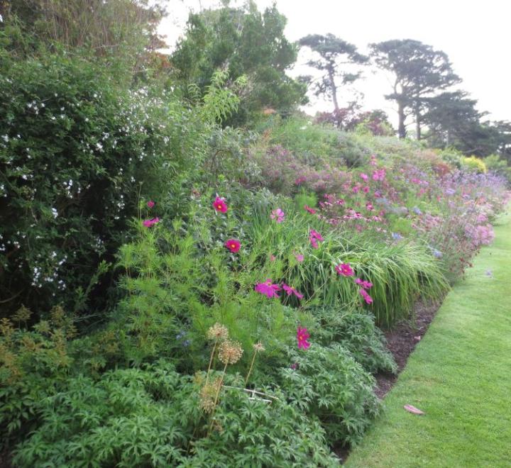 Tapeley Park U.K. juli 2014