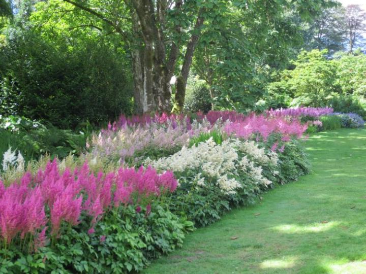 Lanhydrock U.K. juli 2014