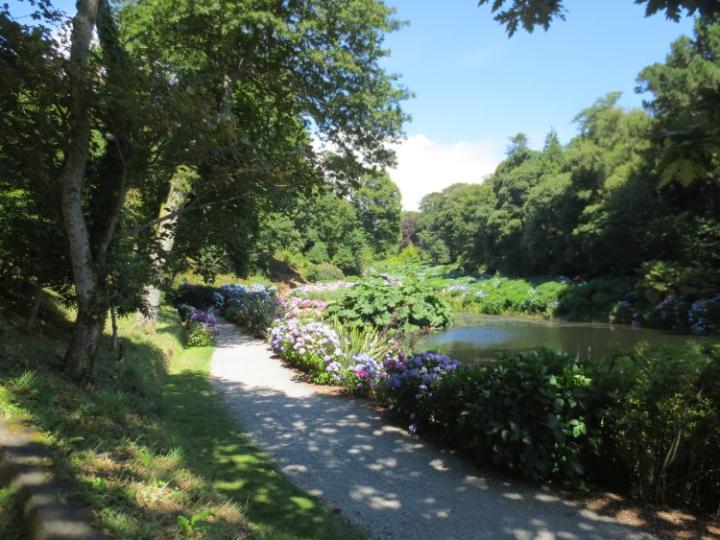 Trebah U.K. juli 2014