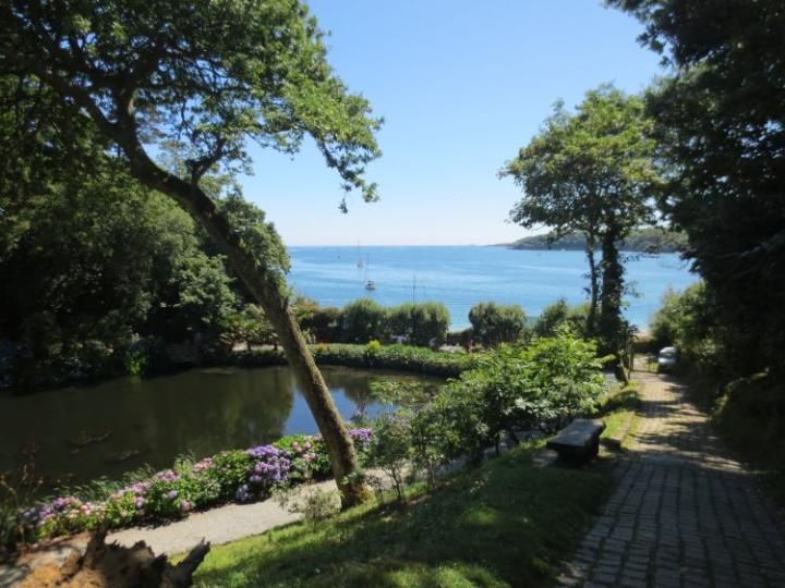 Trebah U.K. juli 2014