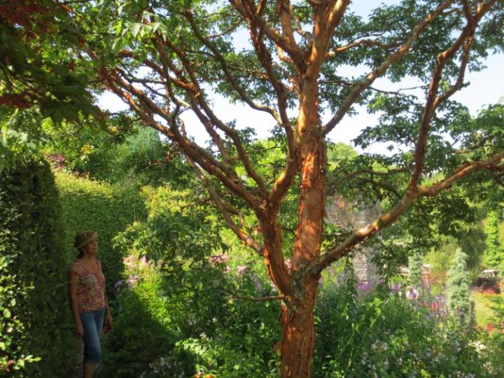 Garden House U.K. juli 2014