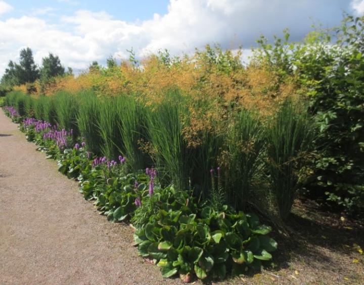 Hyde Hall U.K. juli 2015