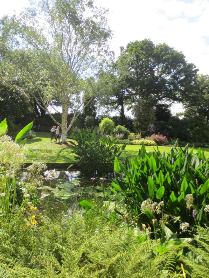 Beth Chatto U.K. juli 2015