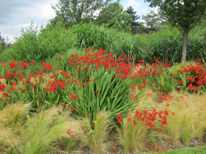 Hyde Hall U.K. juli 2015