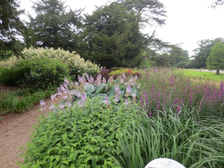 Trentham Estate U.K. juli 2015