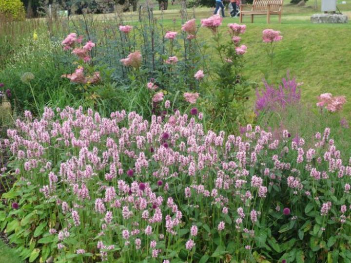 Trentham Estate U.K. juli 2015