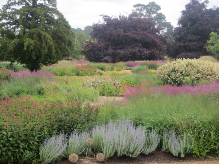 Trentham Estate U.K. juli 2015