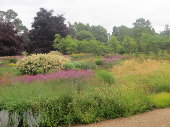 Trentham Estate U.K. juli 2015