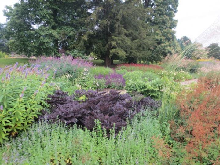 Trentham Estate U.K. juli 2015