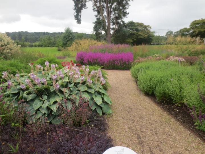 Trentham Estate U.K. juli 2015