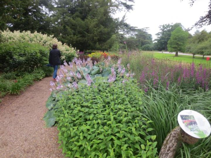 Trentham Estate U.K. juli 2015