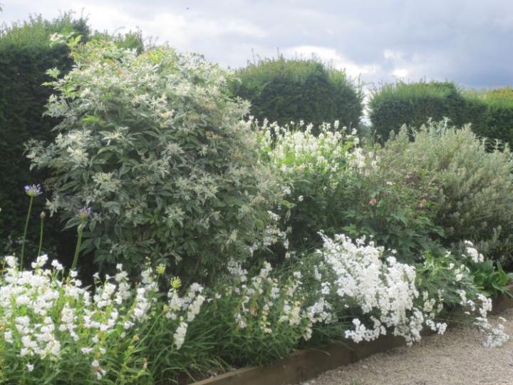 Bourton House U.K. juli 2015