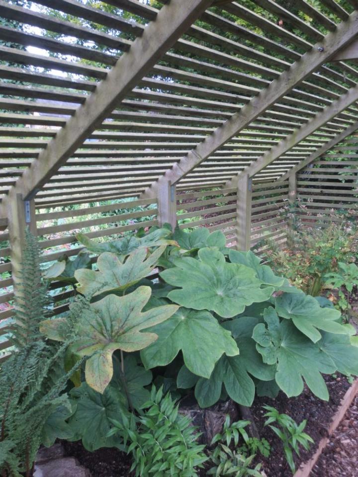 Bourton House U.K. juli 2015