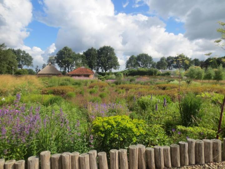 Lisianne Nederland juli 2016