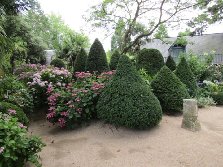 Jardins Agapanthe France juli 2018