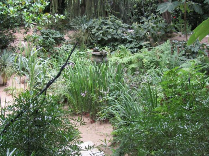 Jardins Agapanthe France juli 2018