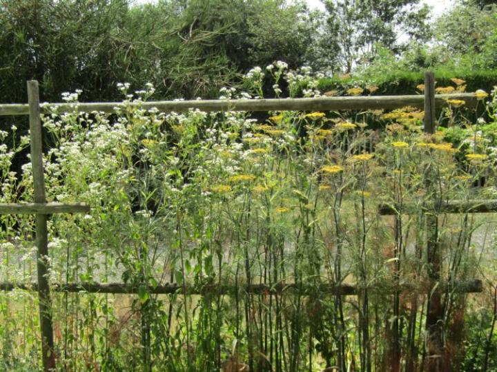 Jardins de Valerianes France juli 2018