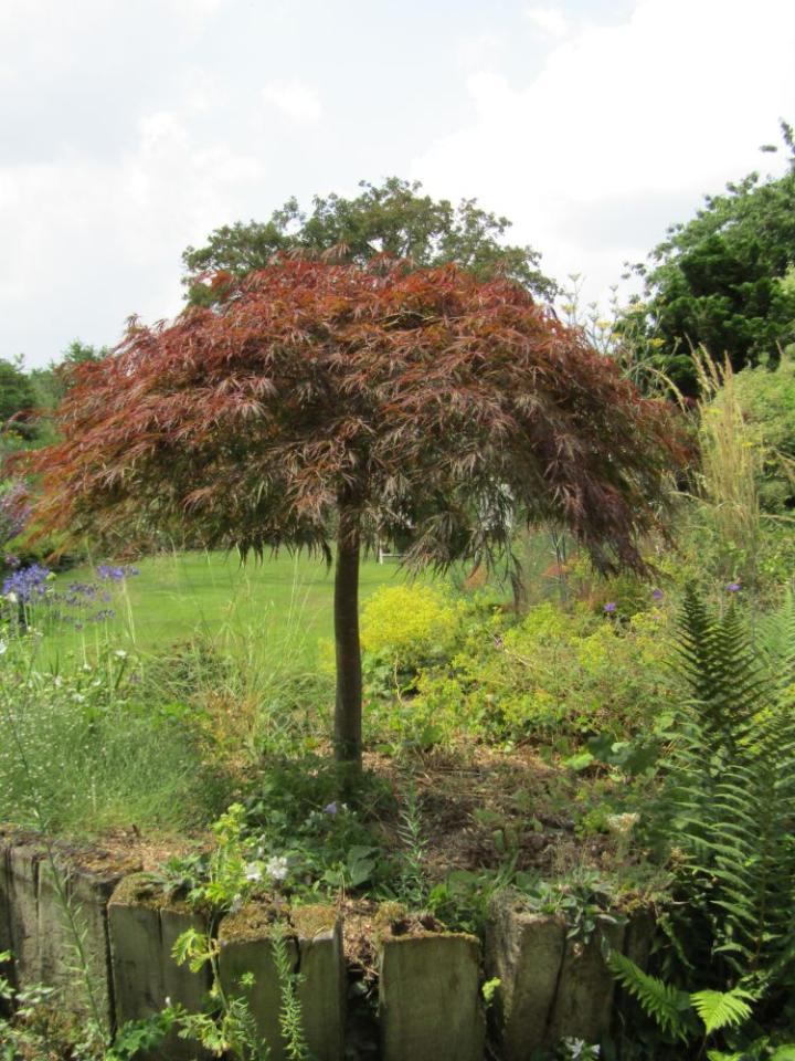 Jardins de Valerianes France juli 2018