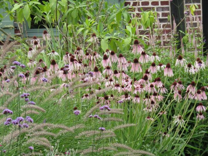 Jardins de Valerianes France juli 2018