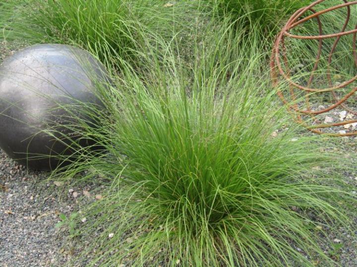 Jardins de Valerianes France juli 2018