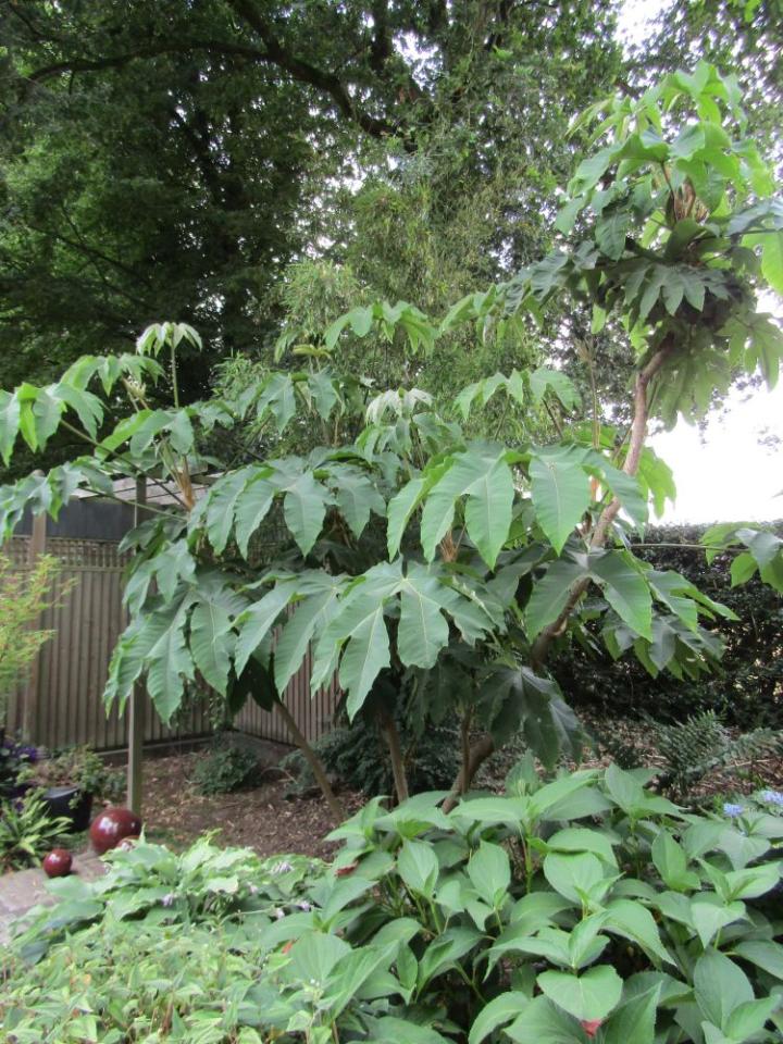 Jardins de Valerianes France juli 2018