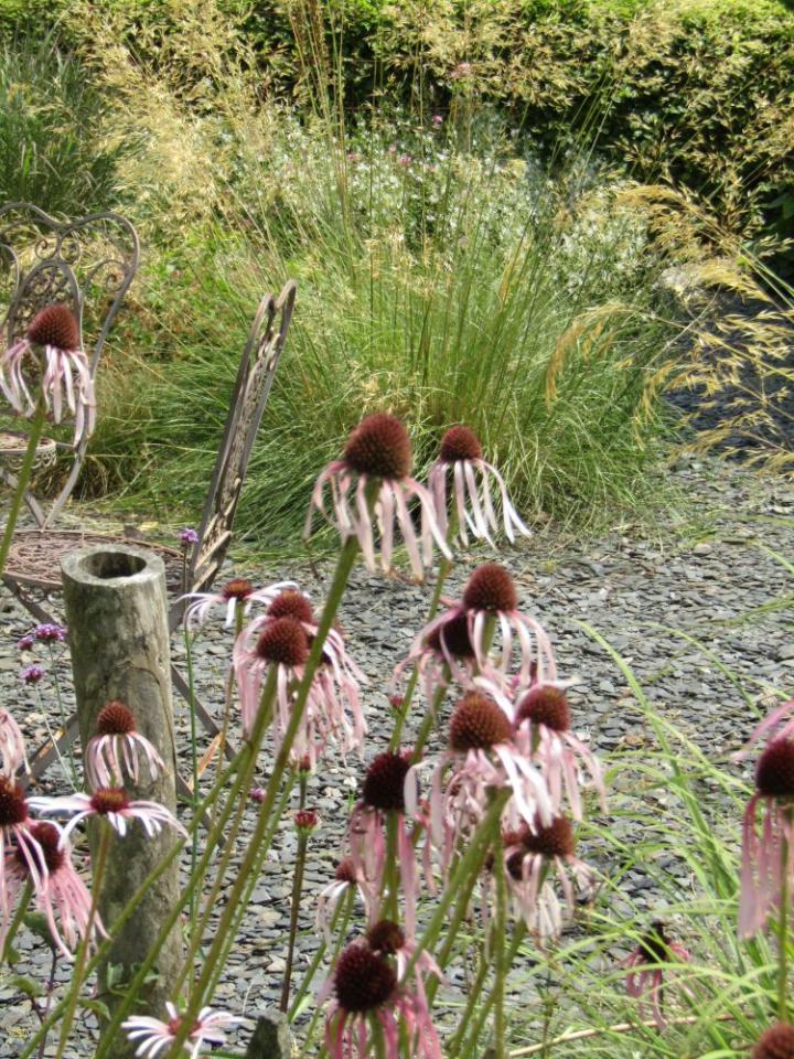 Jardins de Valerianes France juli 2018