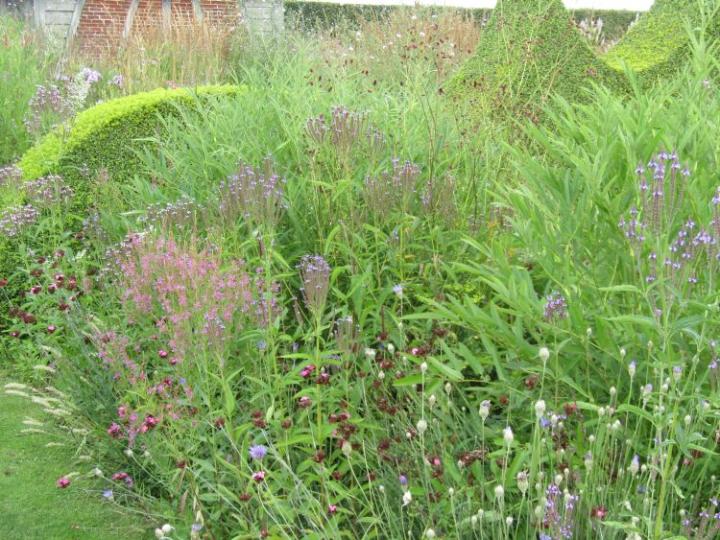 Plume France juli 2018