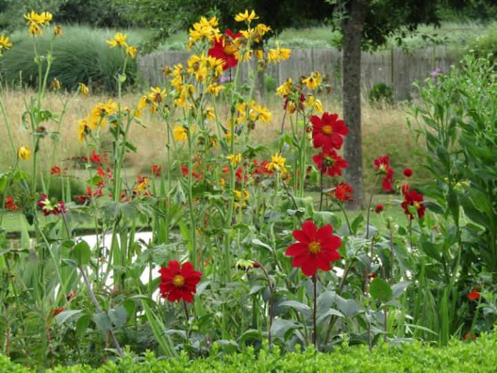 Plume France juli 2018