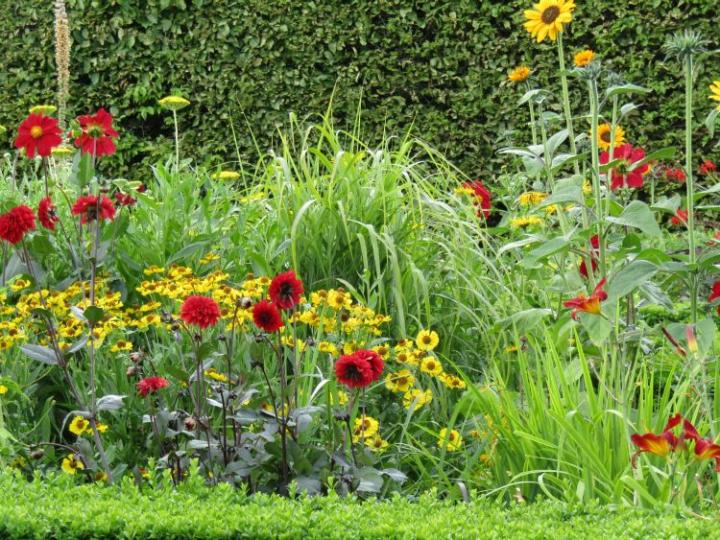 Plume France juli 2018