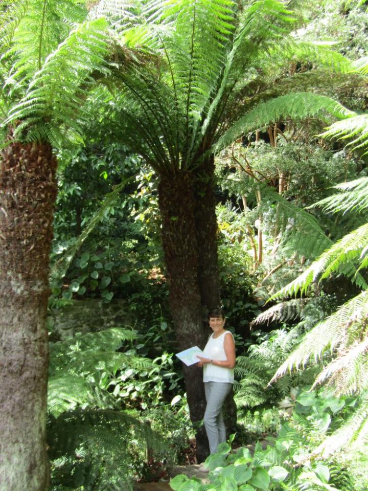 Le Kestellic France juli 2018