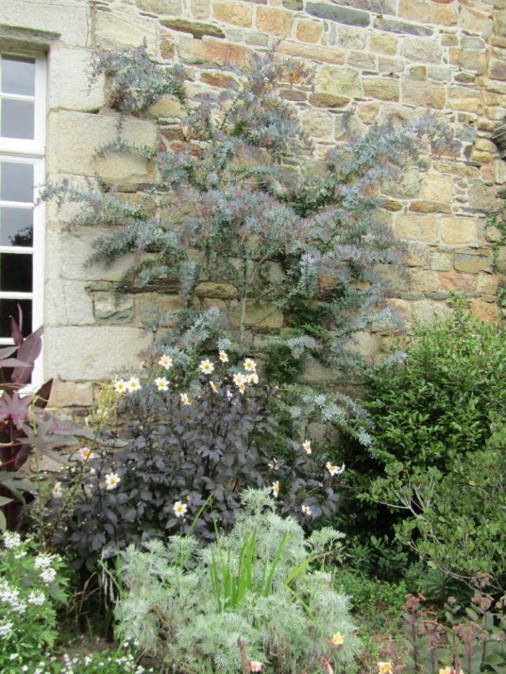 Kerdalo France juli 2018