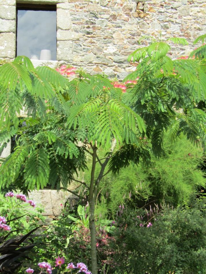 Jardins de Kerfouler France juli 2018