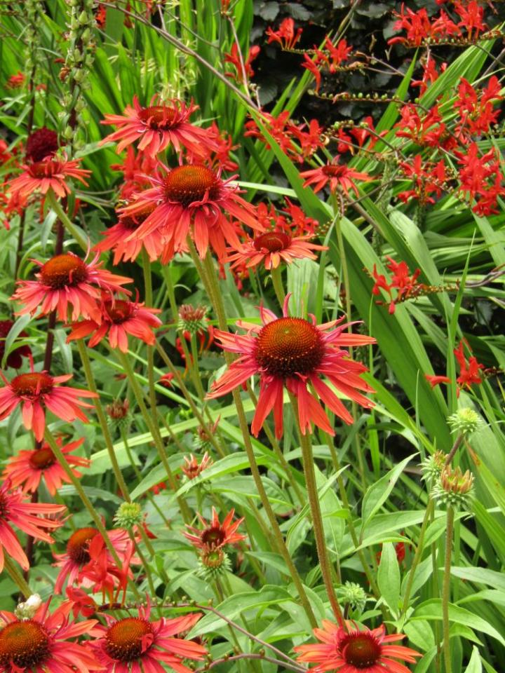 Jardins de Kerfouler France juli 2018