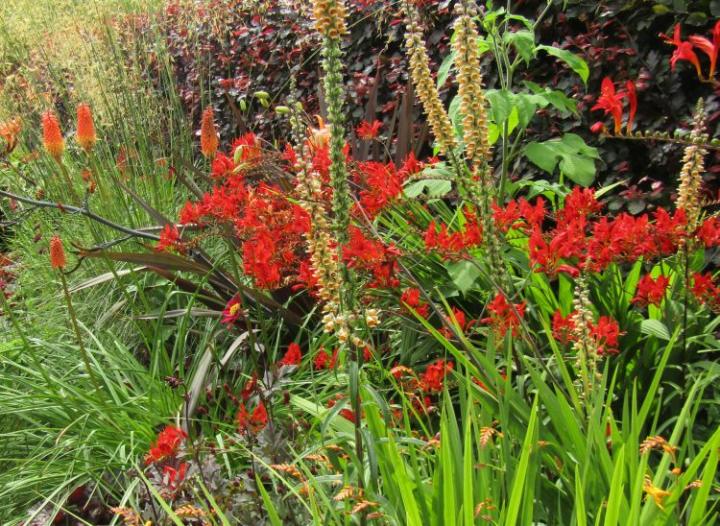 Jardins de Kerfouler France juli 2018