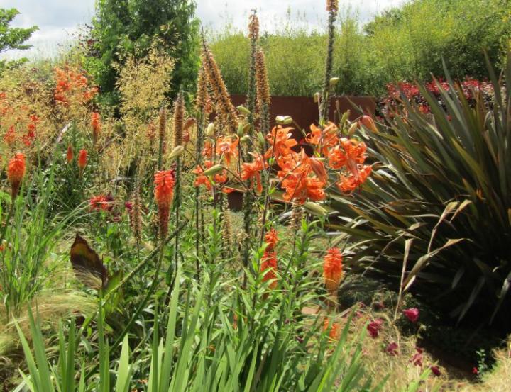 Jardins de Kerfouler France juli 2018