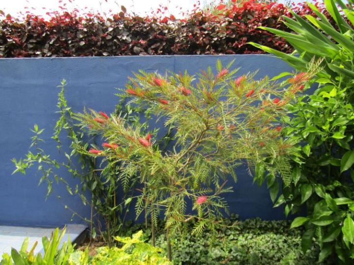 Jardins de Kerfouler France juli 2018