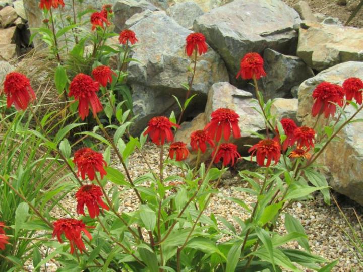 Jardins de Kerfouler France juli 2018