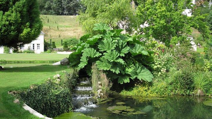 Sasniere France  juli 2014